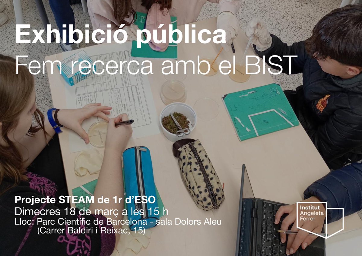 insaferrer tweet media