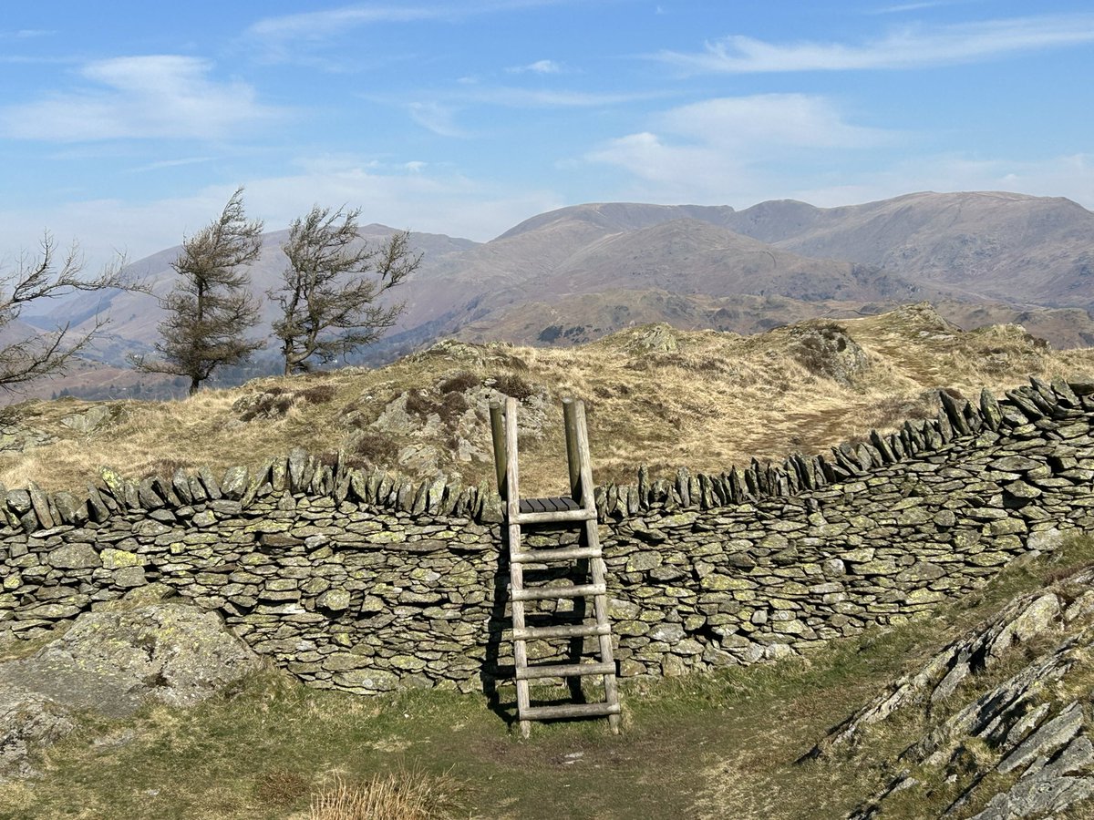 elizabeth tutty tweet media