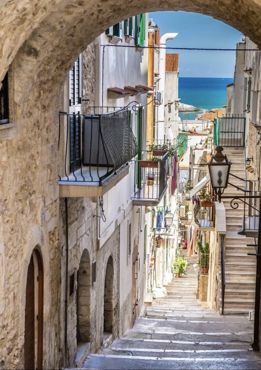 Garganoismore tweet media