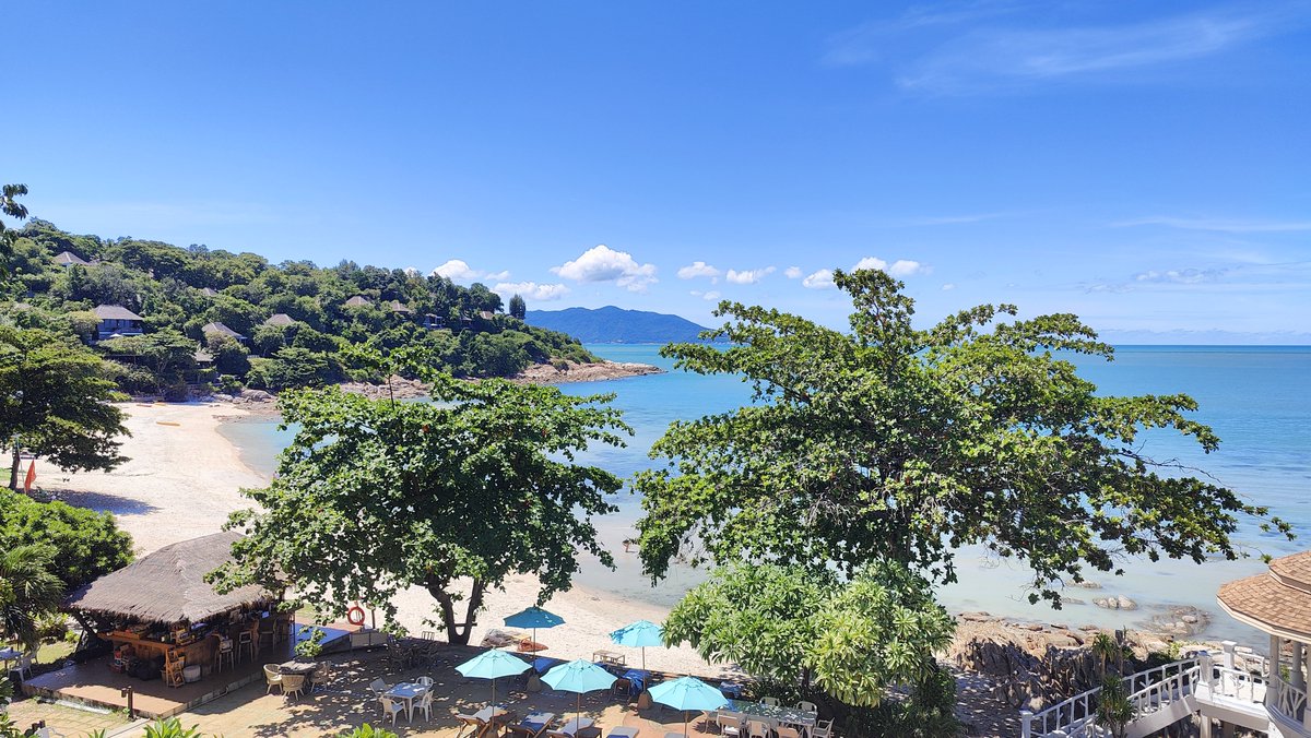 FattyNatsu tweet media