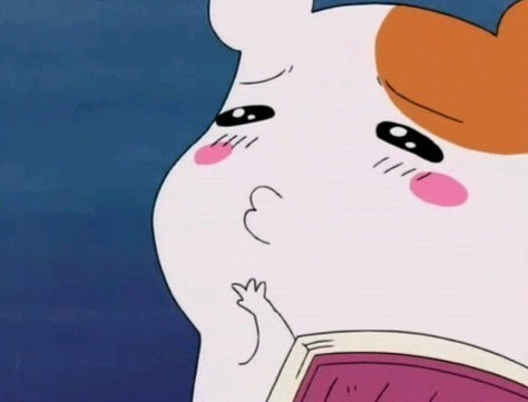 KENZO™ tweet media