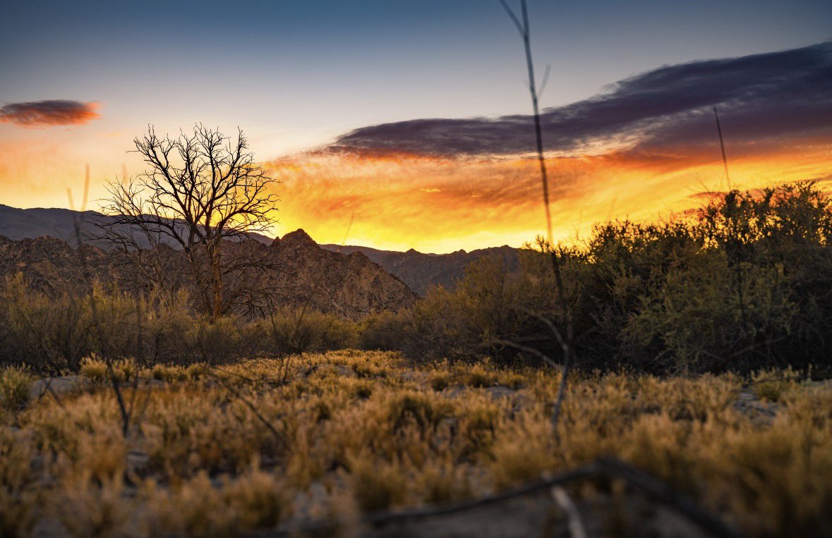 Coachella Valley tweet media