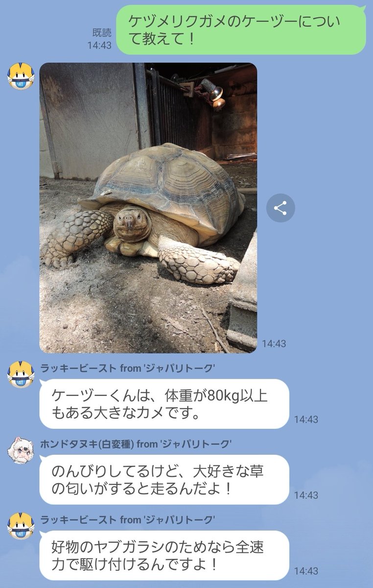 ジャパリトーク【公式】 tweet media