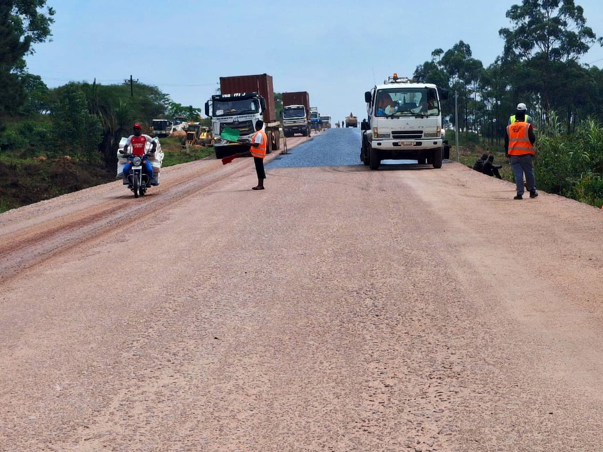 MK Black 🐜 tweet media