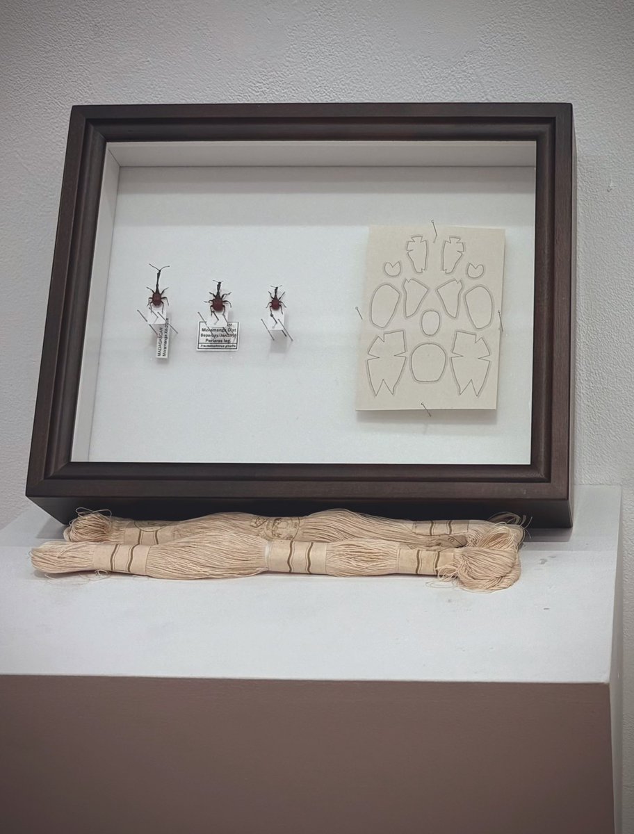 久木田大地 tweet media