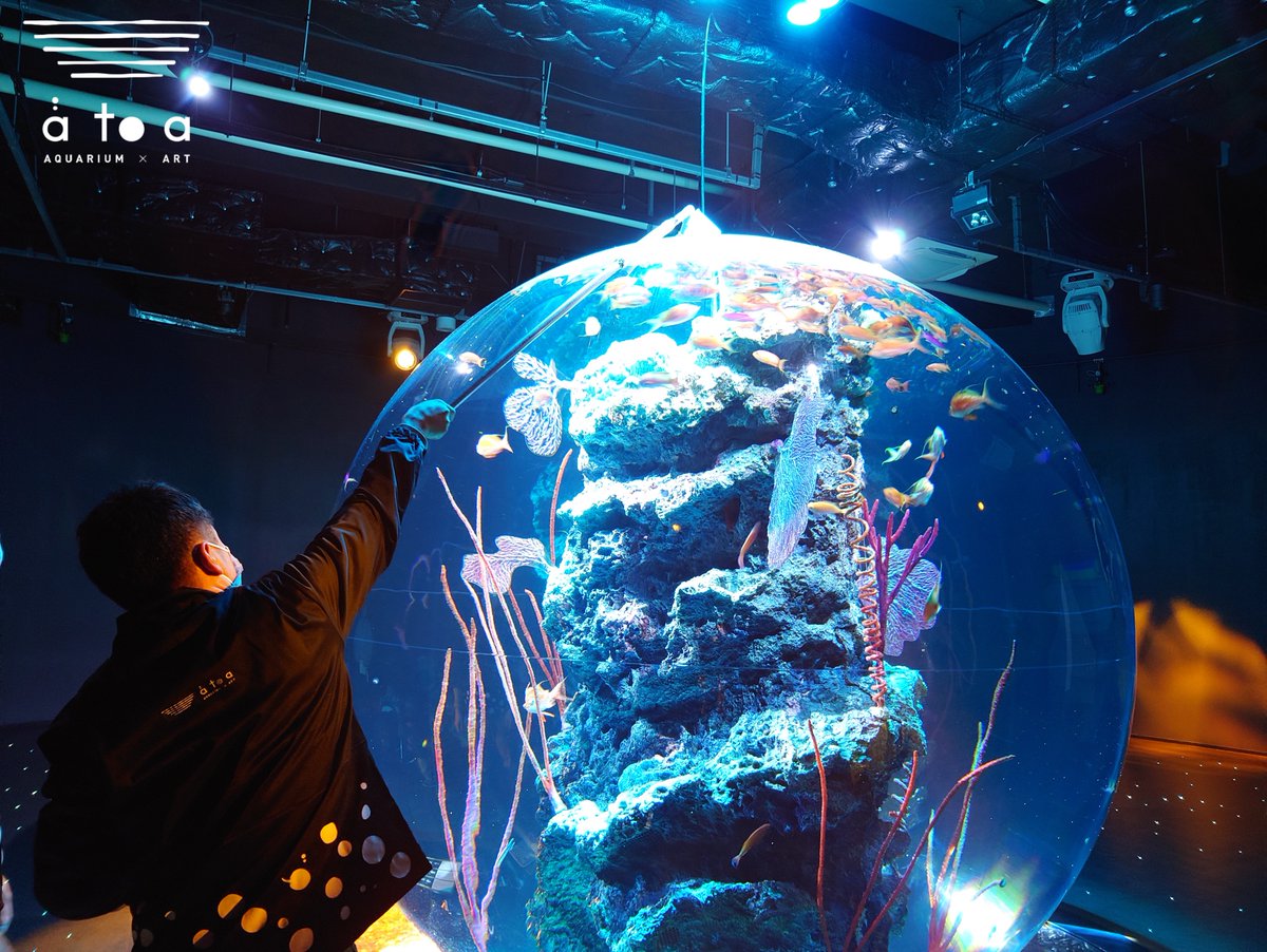 AQUARIUM ✕ ART átoa（アトア）【公式】 tweet media