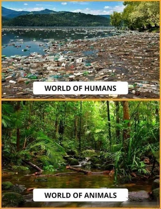 𝘤𝘢𝘣𝘪𝘯 𝘷𝘪𝘴𝘶𝘢𝘭𝘴 ❁࿐❁ tweet media