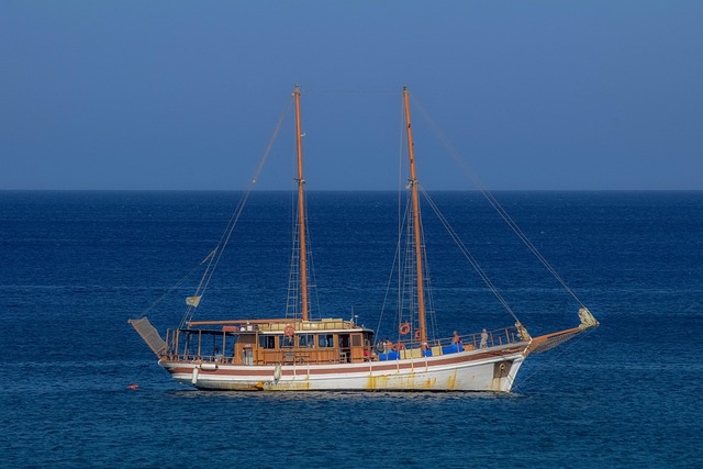 Andy Boscan tweet media