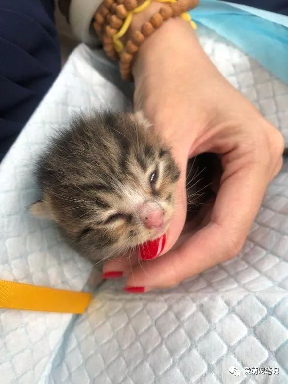 ajaygeorge1 tweet media