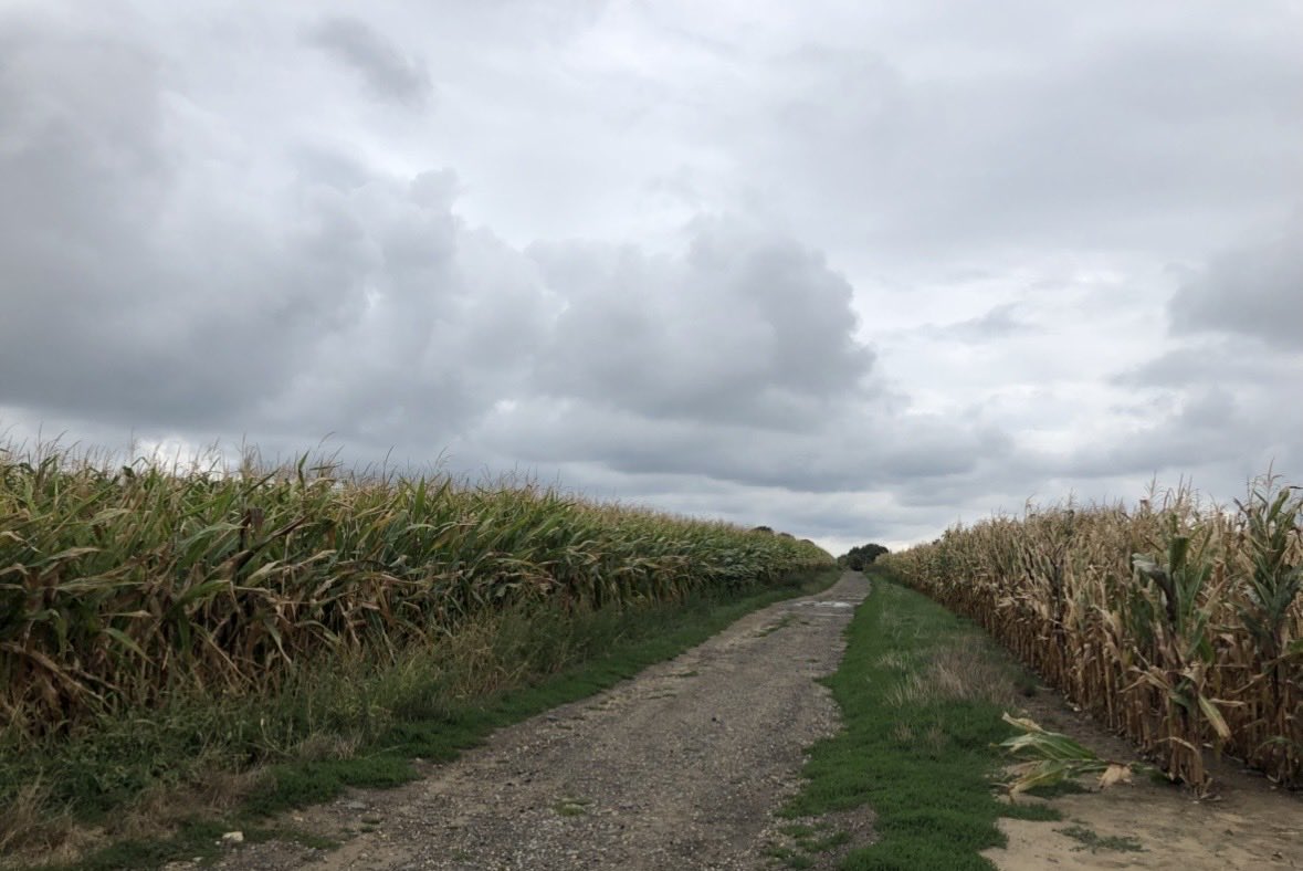 슬픔은 영원할 것이다.....

빈센트 반 고흐가 총상으로 고통받으며 동생 테오의 품에 안겨 마지막으로 내뱉은 한마디 였다.

당시 빈센트 37세. 형이 죽고 6개월 뒤 테오도 형을 지키지 못했다는 죄책감에 시달리다 33세의 젊은 나이로 세상을 떠났다.

그들의 마지막 숨결이 머물던 오베르쉬아즈의