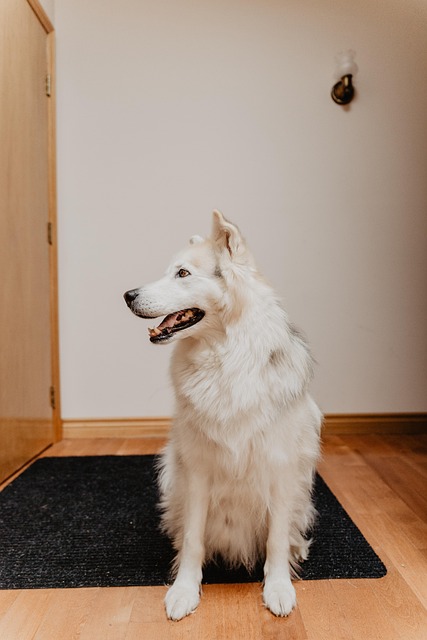 Alex Ruben tweet media