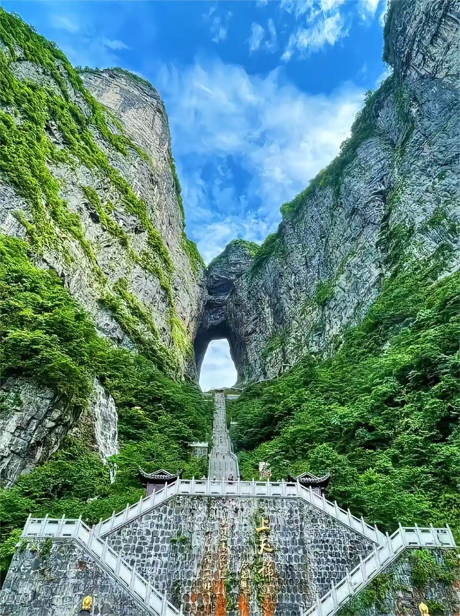 Beverly Gulston tweet media