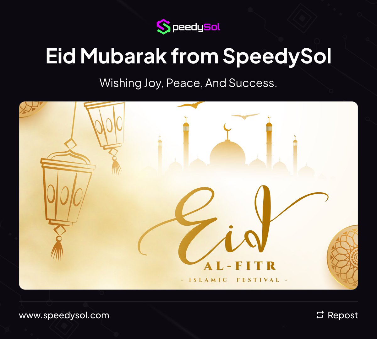 SpeedySol tweet media