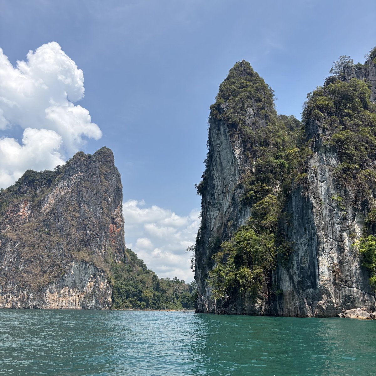 eli イーライ ⋆⭒˚.⋆ in aus! tweet media