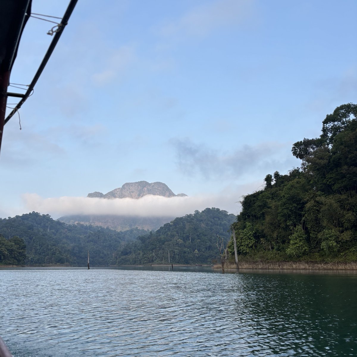 eli イーライ ⋆⭒˚.⋆ in aus! tweet media