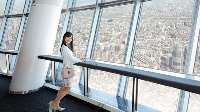 はとバス【公式】 tweet media