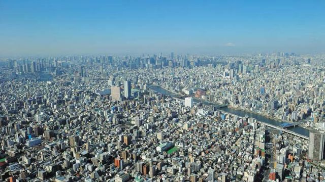 はとバス【公式】 tweet media