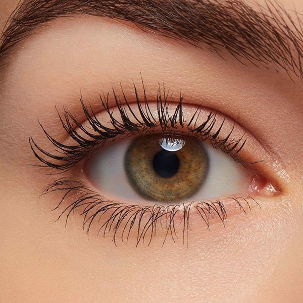 พี่บิวตี้คนคูล(ลัทธิแมวส้ม) tweet media