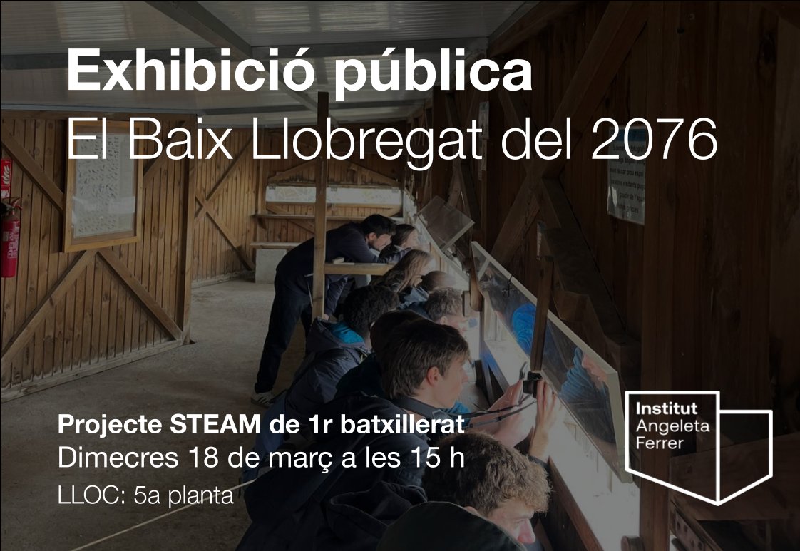 insaferrer tweet media