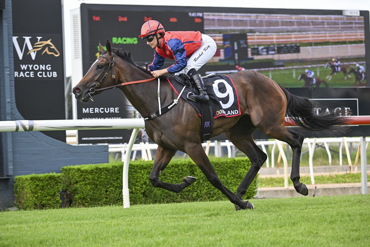 Tara Madgwick tweet media