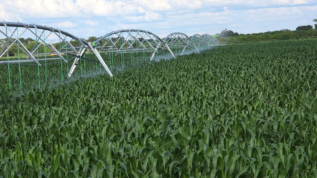 Gachange tweet media