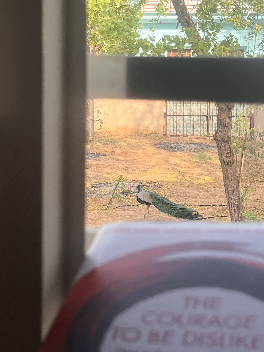 Ritu Joon tweet media