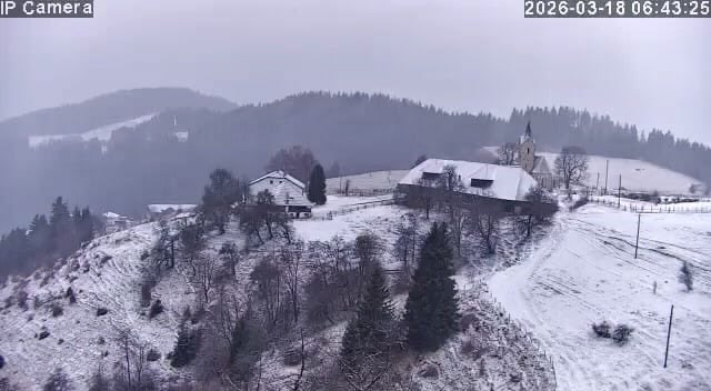 Georg Waldmensch 🌳 tweet media