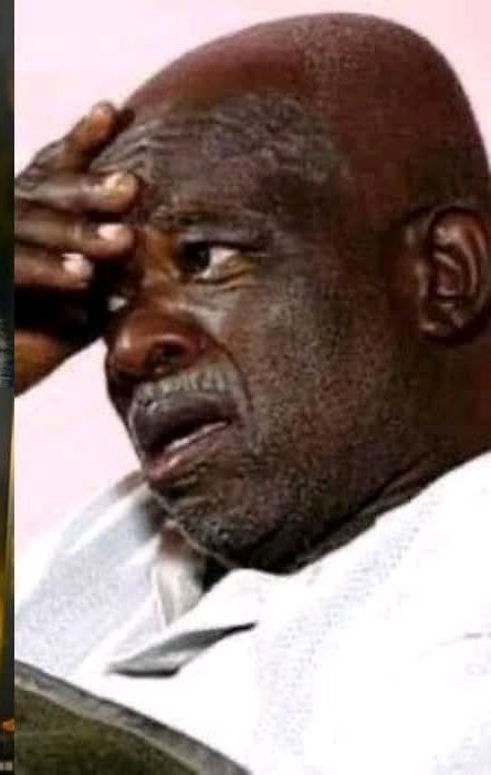 Son fo the Soil tweet media