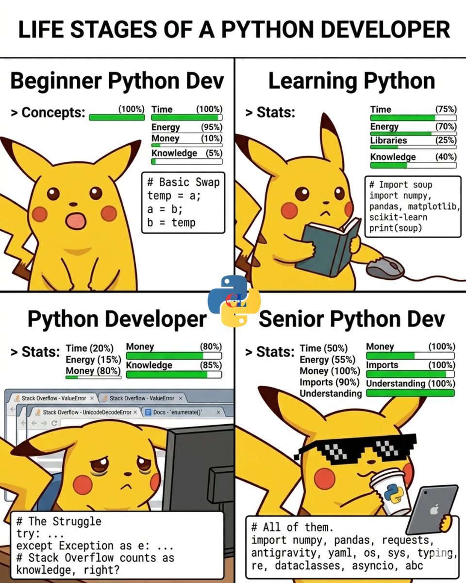 Python Coding tweet media