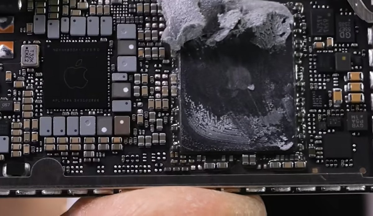 Noah Cat tweet media