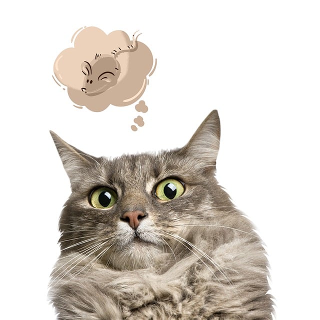 Tyrone Sullivan tweet media