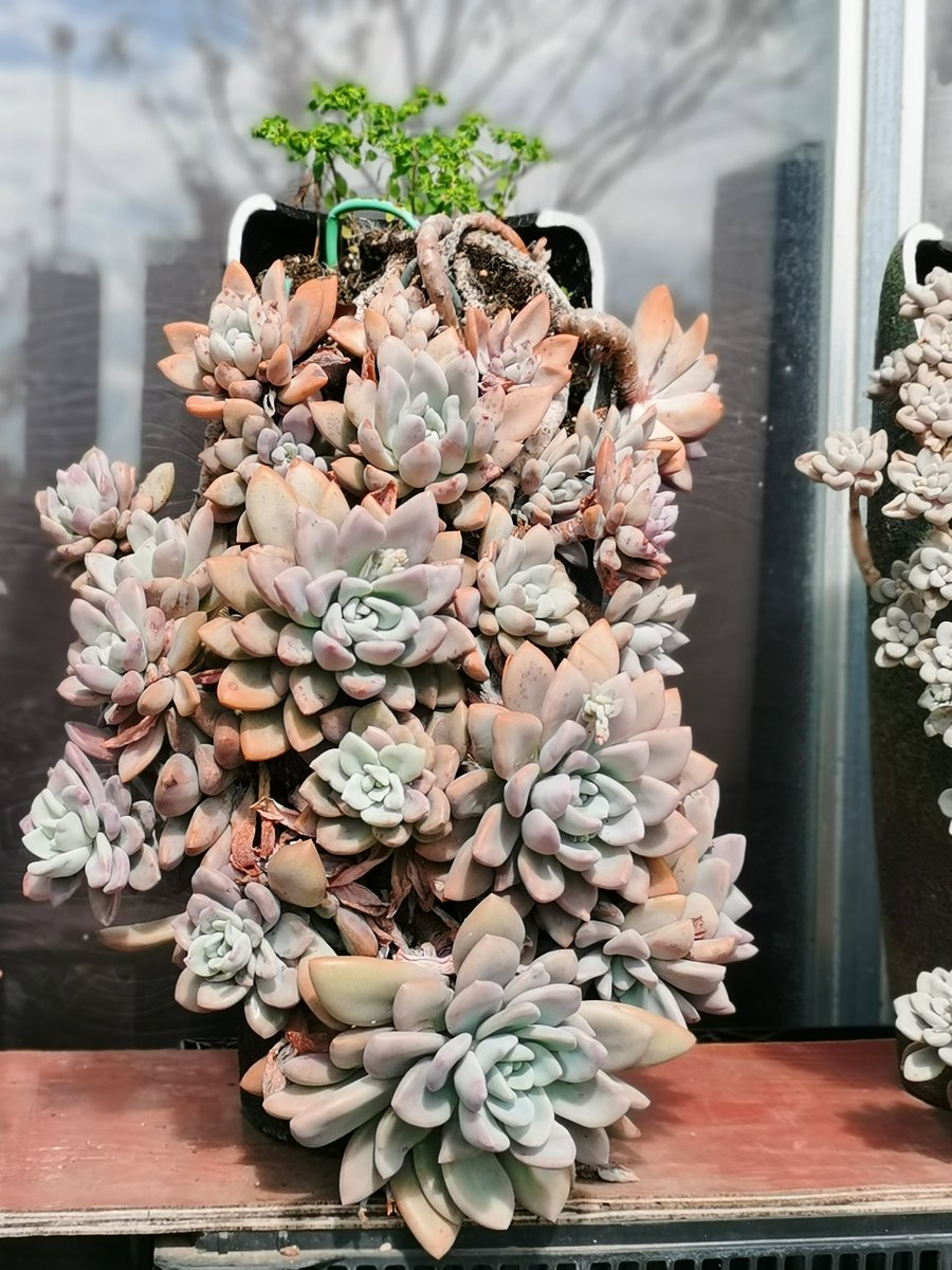 Jordan Hunt tweet media