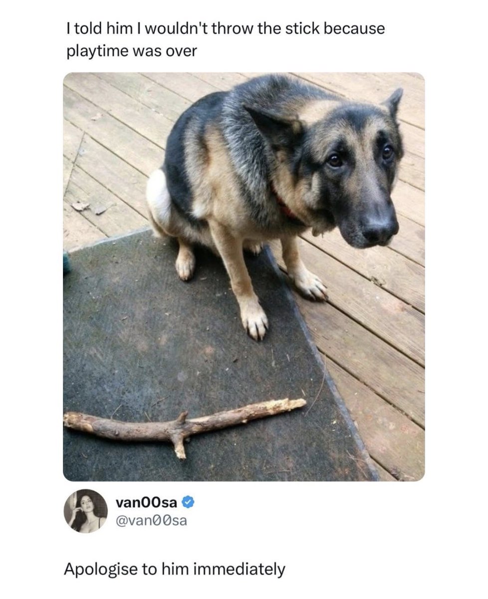 RespectfulMemes's tweet photo. https://t.co/dD2WdAQAGS