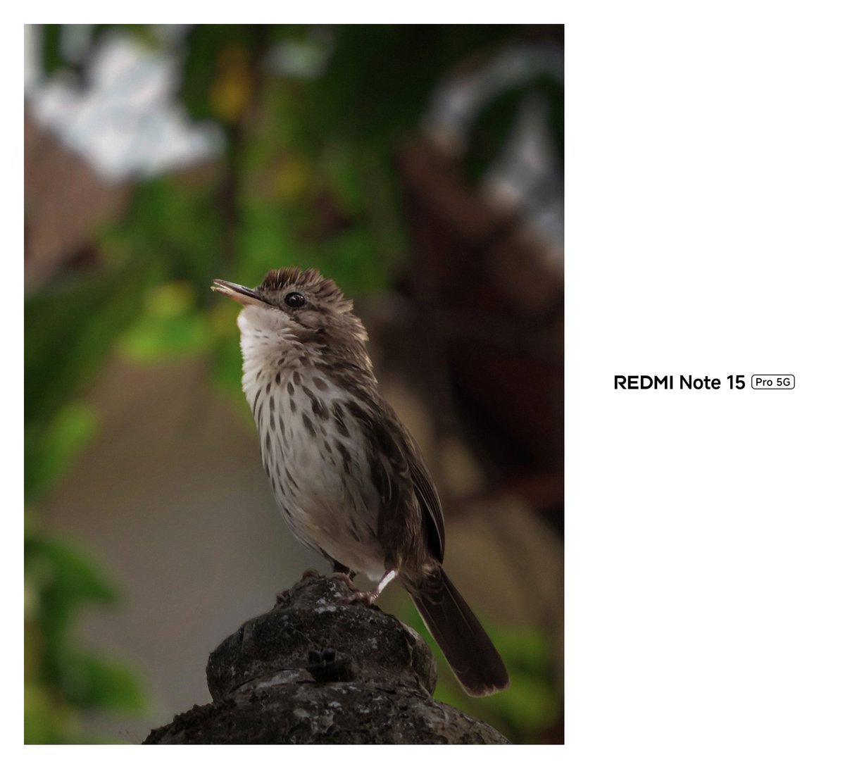 Ramdas S Pai tweet media