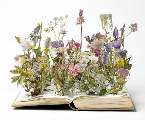 #WOMENSART tweet media