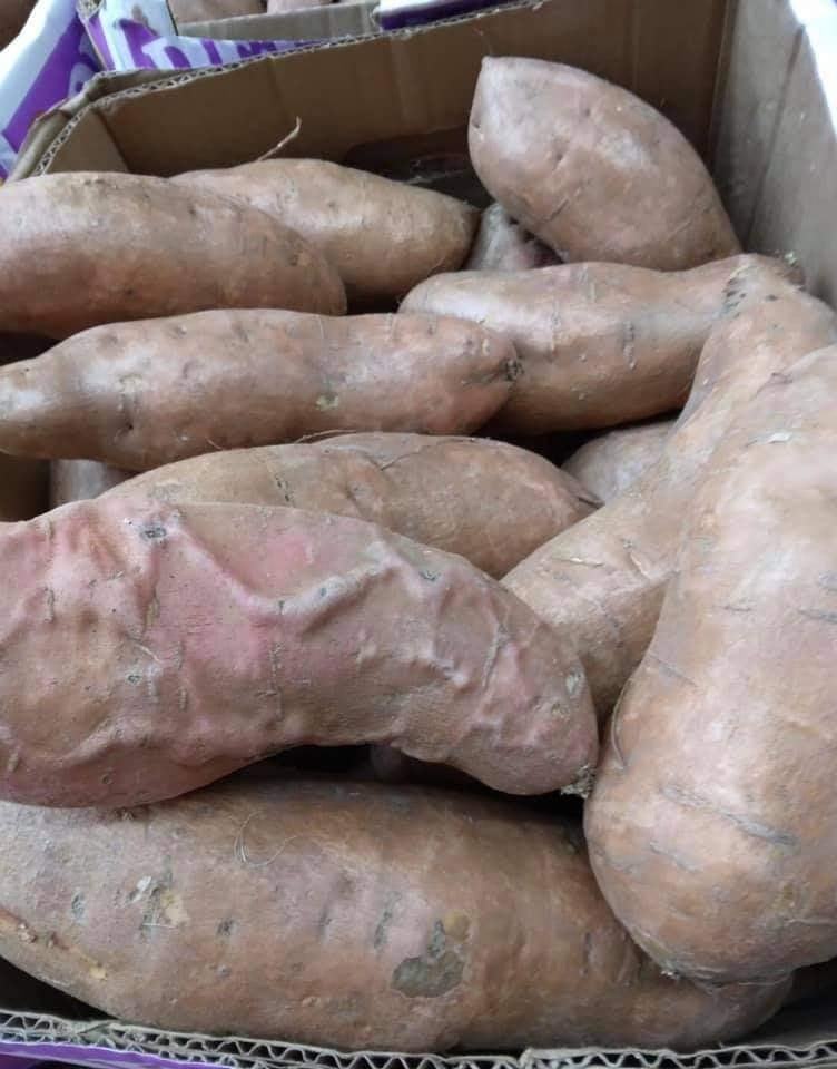 hmmm.jpg tweet media