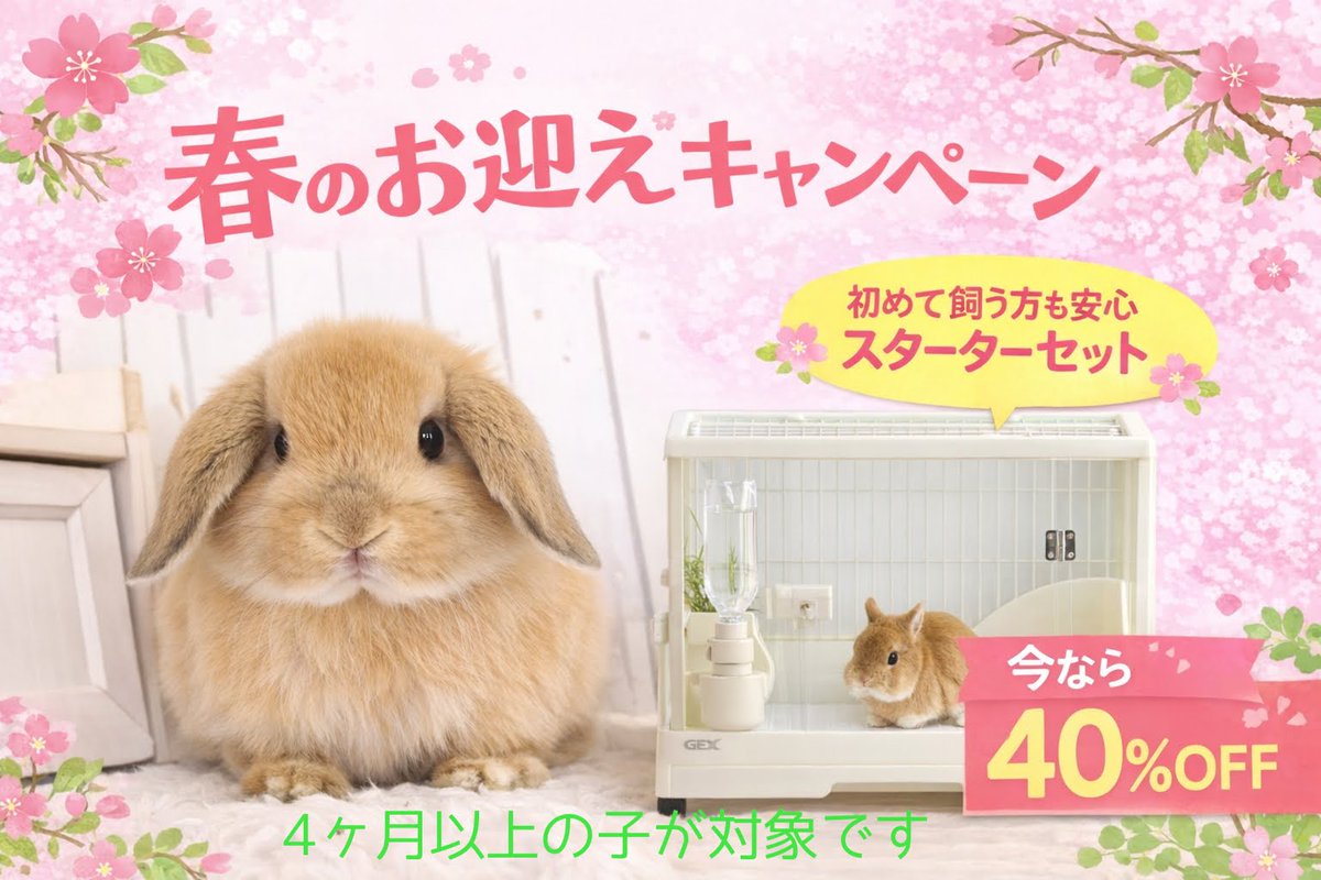 うさぎ専門店ラビットリンク tweet media