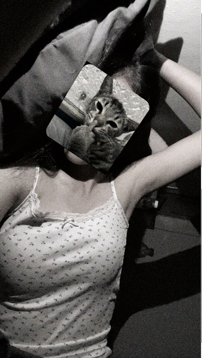 sfp_nnnnxn tweet media