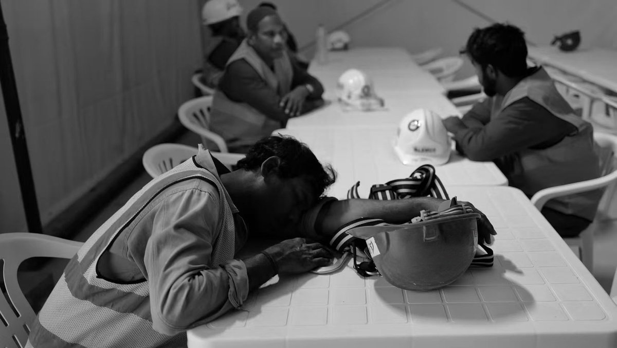 Ella Zhang tweet media