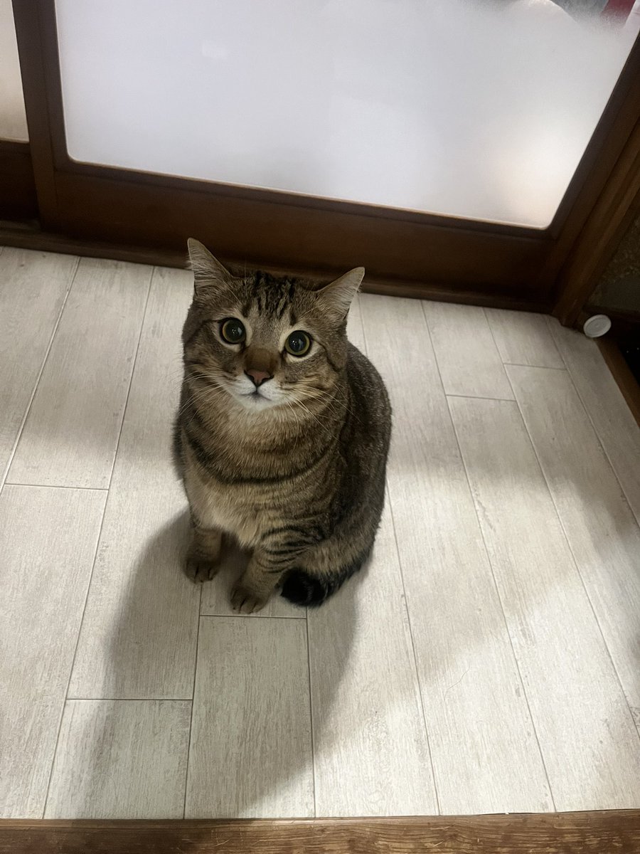 まーちゃん tweet media