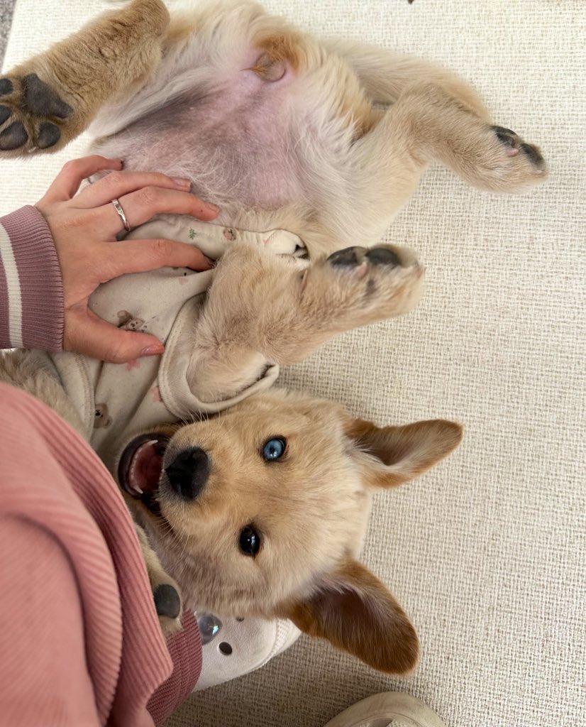 NAKDI / RAUM tweet media