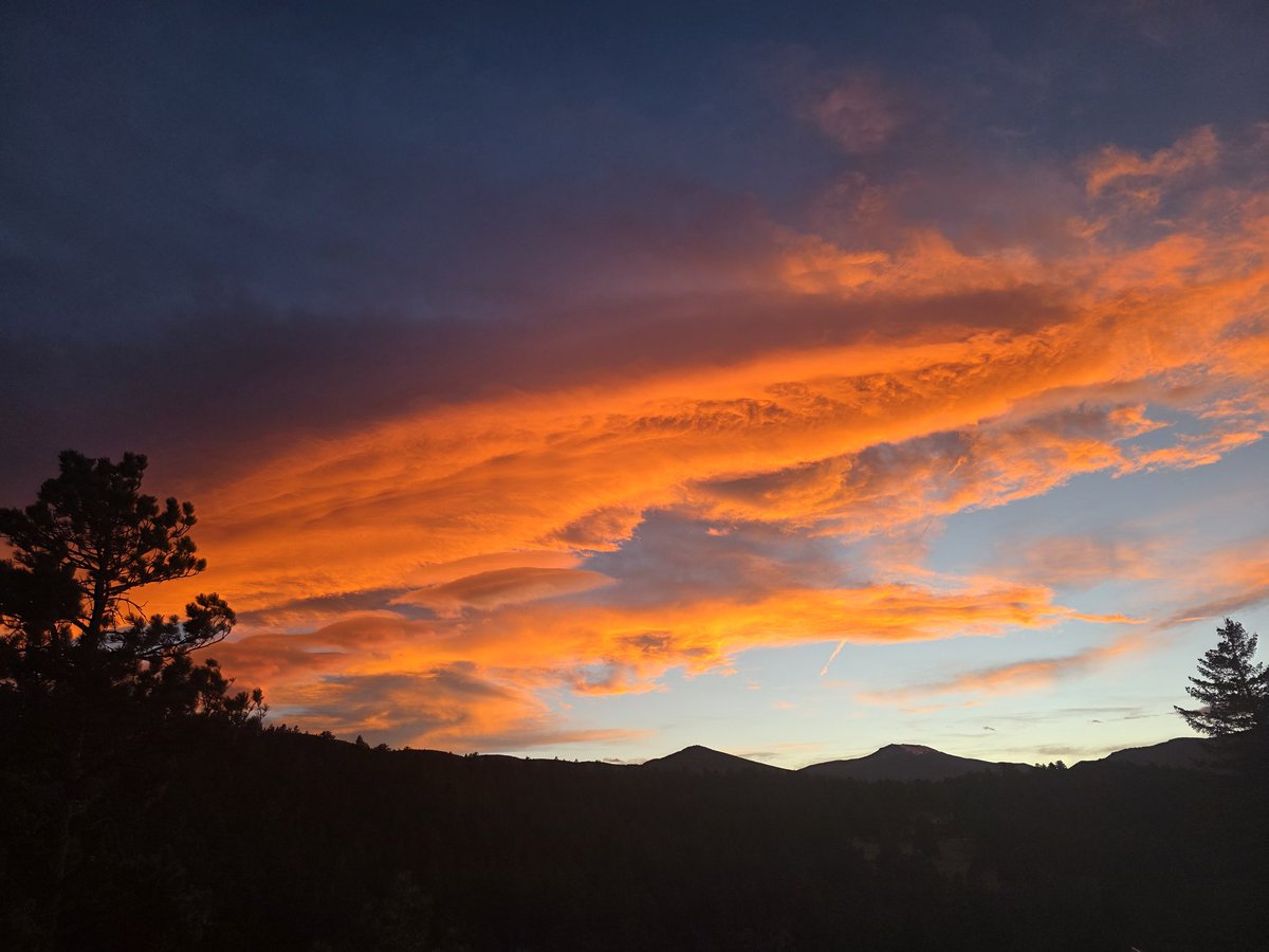 Michael Doyle tweet media