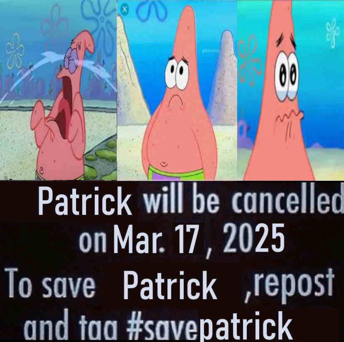baddiesofalola's tweet photo. Please repost and tag #savepatrick https://t.co/Yrk4npBSto
