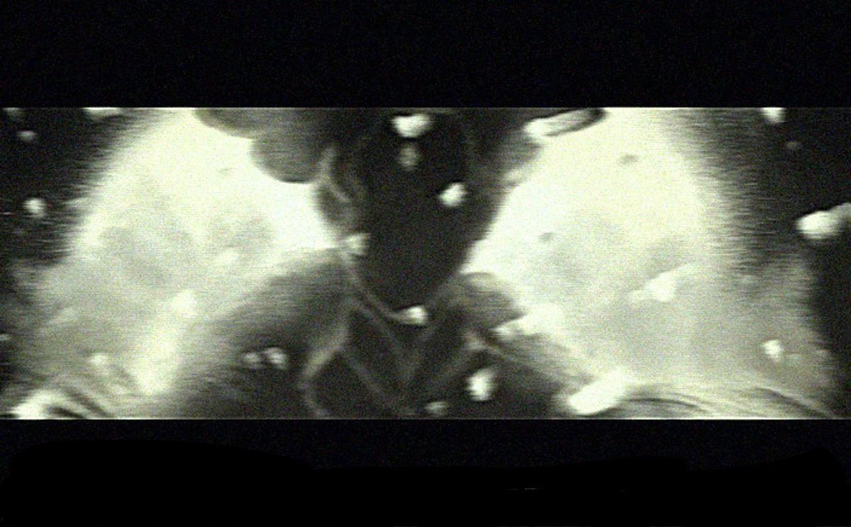 *ugly crying in the corner*