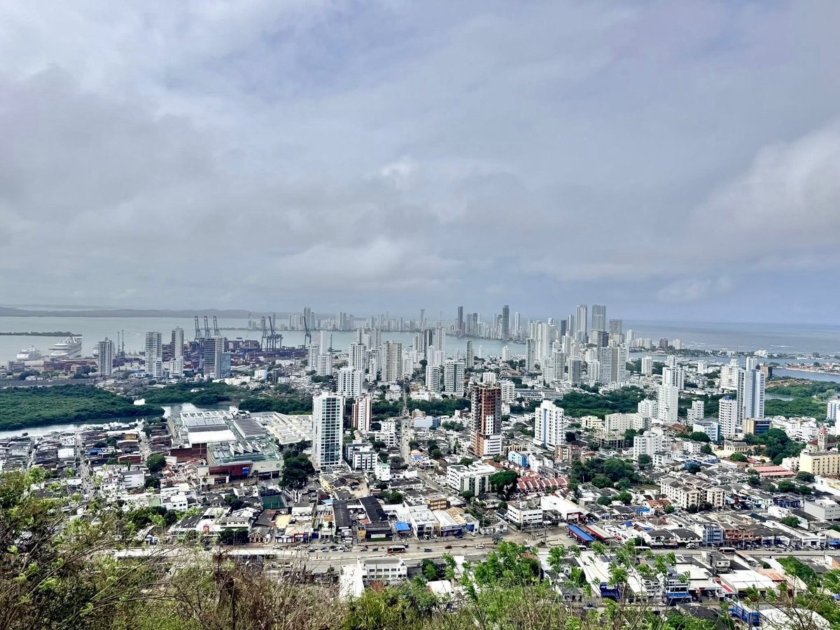 Htownfinfan tweet media