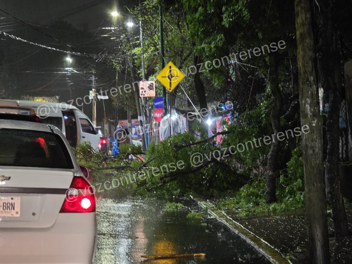 VozContrerense's tweet photo. 19:23  Evita transitar por Av. San Jerónimo casi esquina con 10 de junio, se registra el bloqueo por caída de un árbol luego de las fuertes lluvias en La Magdalena Contreras @ALaMagdalenaC https://t.co/c1QLU9xzxP