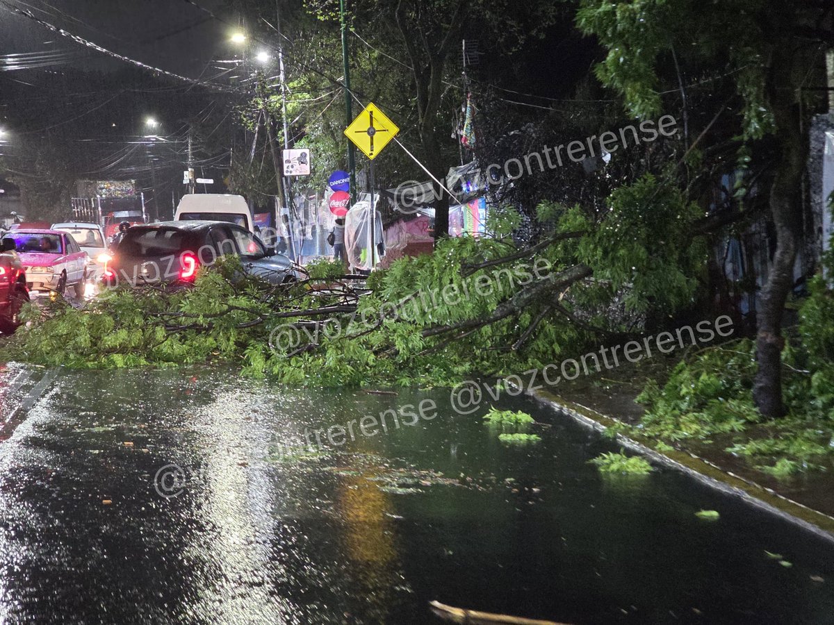 VozContrerense's tweet photo. 19:23  Evita transitar por Av. San Jerónimo casi esquina con 10 de junio, se registra el bloqueo por caída de un árbol luego de las fuertes lluvias en La Magdalena Contreras @ALaMagdalenaC https://t.co/c1QLU9xzxP