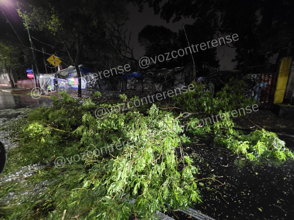 VozContrerense's tweet photo. 19:23  Evita transitar por Av. San Jerónimo casi esquina con 10 de junio, se registra el bloqueo por caída de un árbol luego de las fuertes lluvias en La Magdalena Contreras @ALaMagdalenaC https://t.co/c1QLU9xzxP