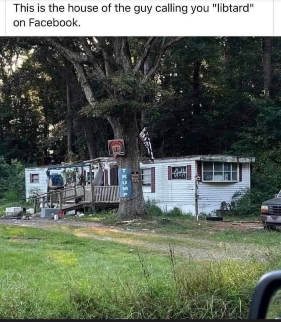 O’Hodl Trade•Dude Diligence 🐢🏴☠️🇺🇸 tweet media