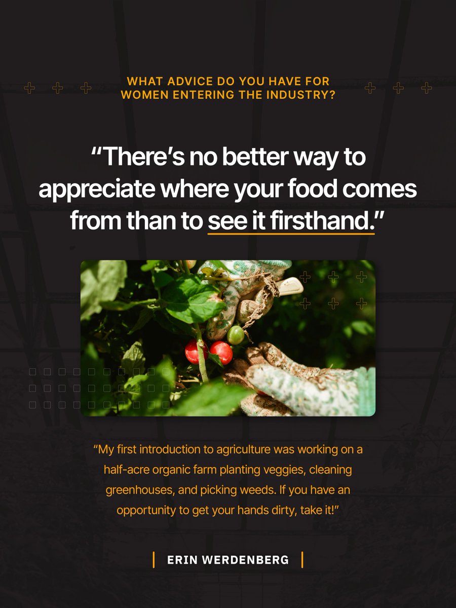 FieldView tweet media